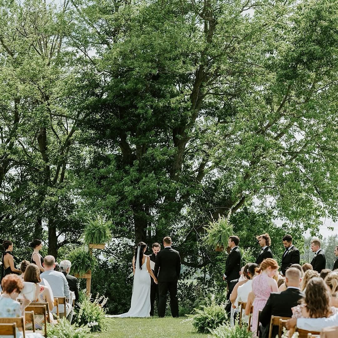 Abby + Jordan&rsquo;s wedding yesterday was STUNNING! Thank you to everyone who came out and made this day possible for these two; it was so great and filled with so much love! 

I wish I had more sneak peeks for you all, but if I don&rsquo;t start p