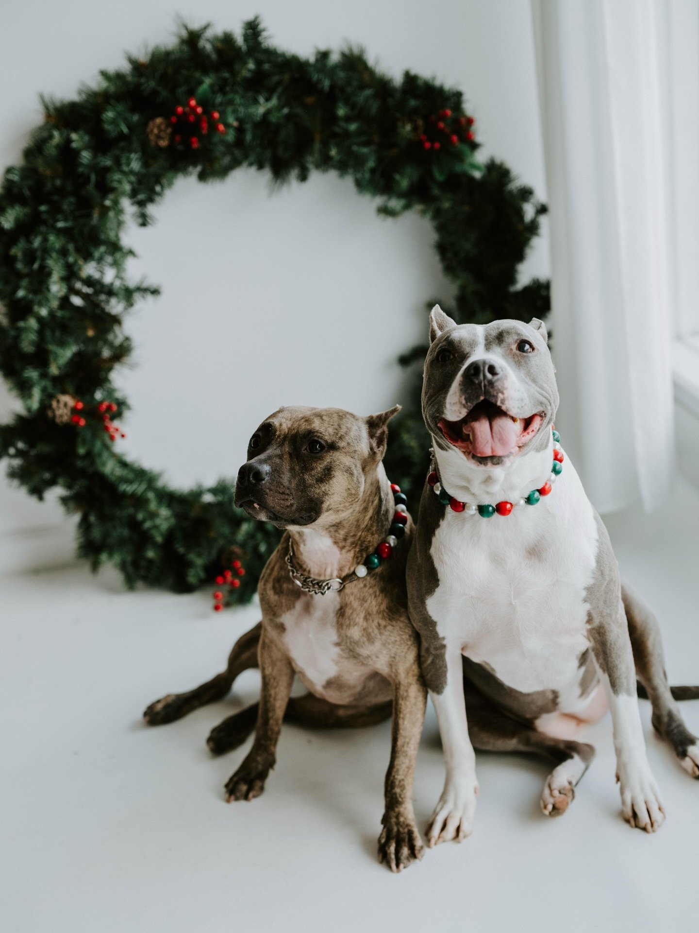 Christmas minis have came to an end but that doesn&rsquo;t mean you can&rsquo;t still book at Parlor Studios this winter ❤️🎄

I had 2 regular sessions there this morning 🙌