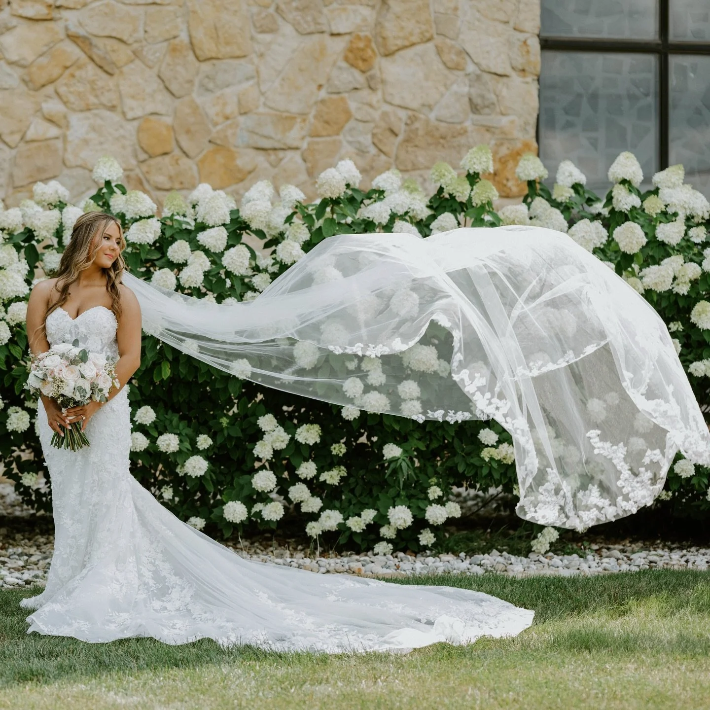 Two things I always adore&hellip;. a beautiful veil + hydrangeas ✨