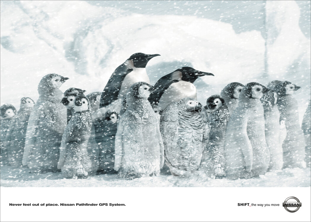 Pathfinder-Penguin.jpg