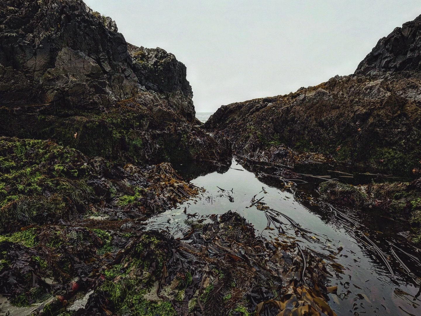 Tide pooling