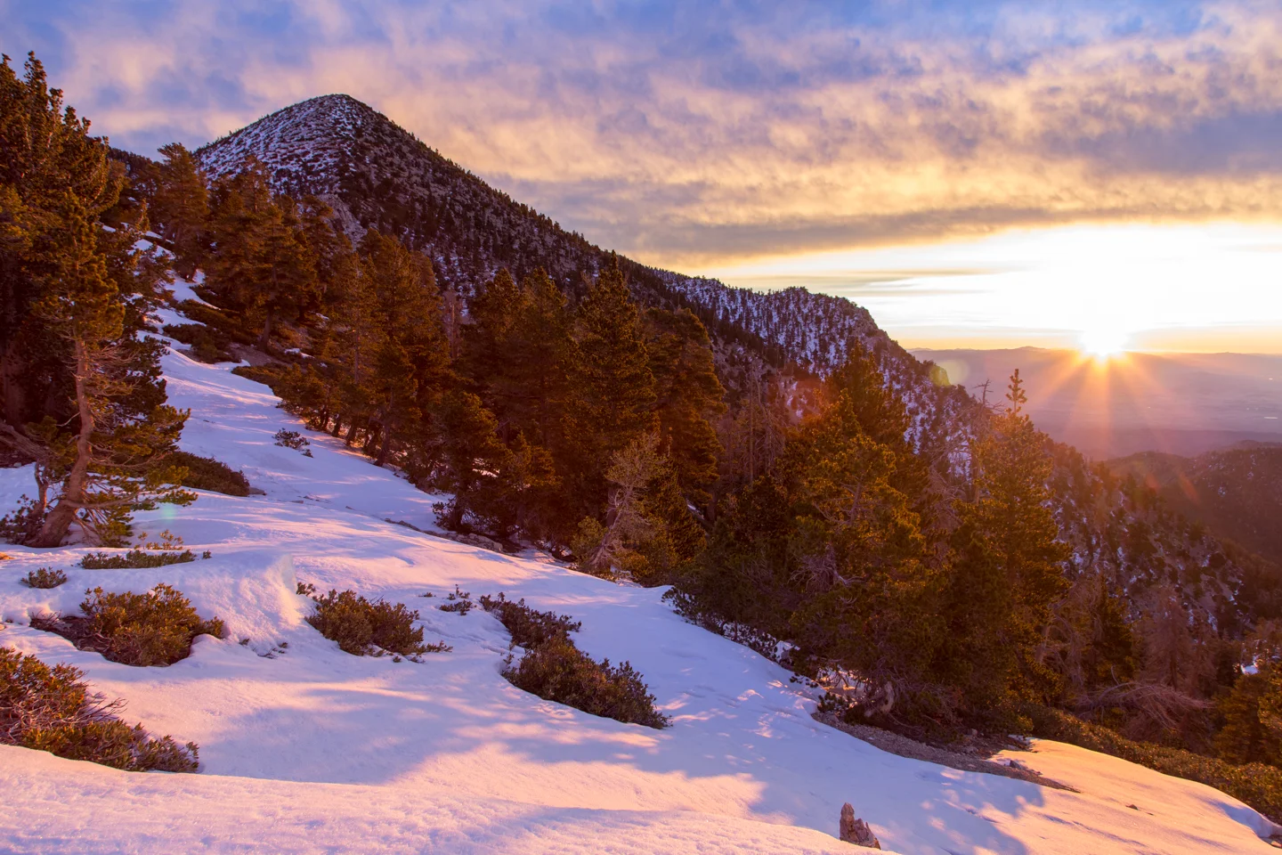 San Gorgonio-7.jpg