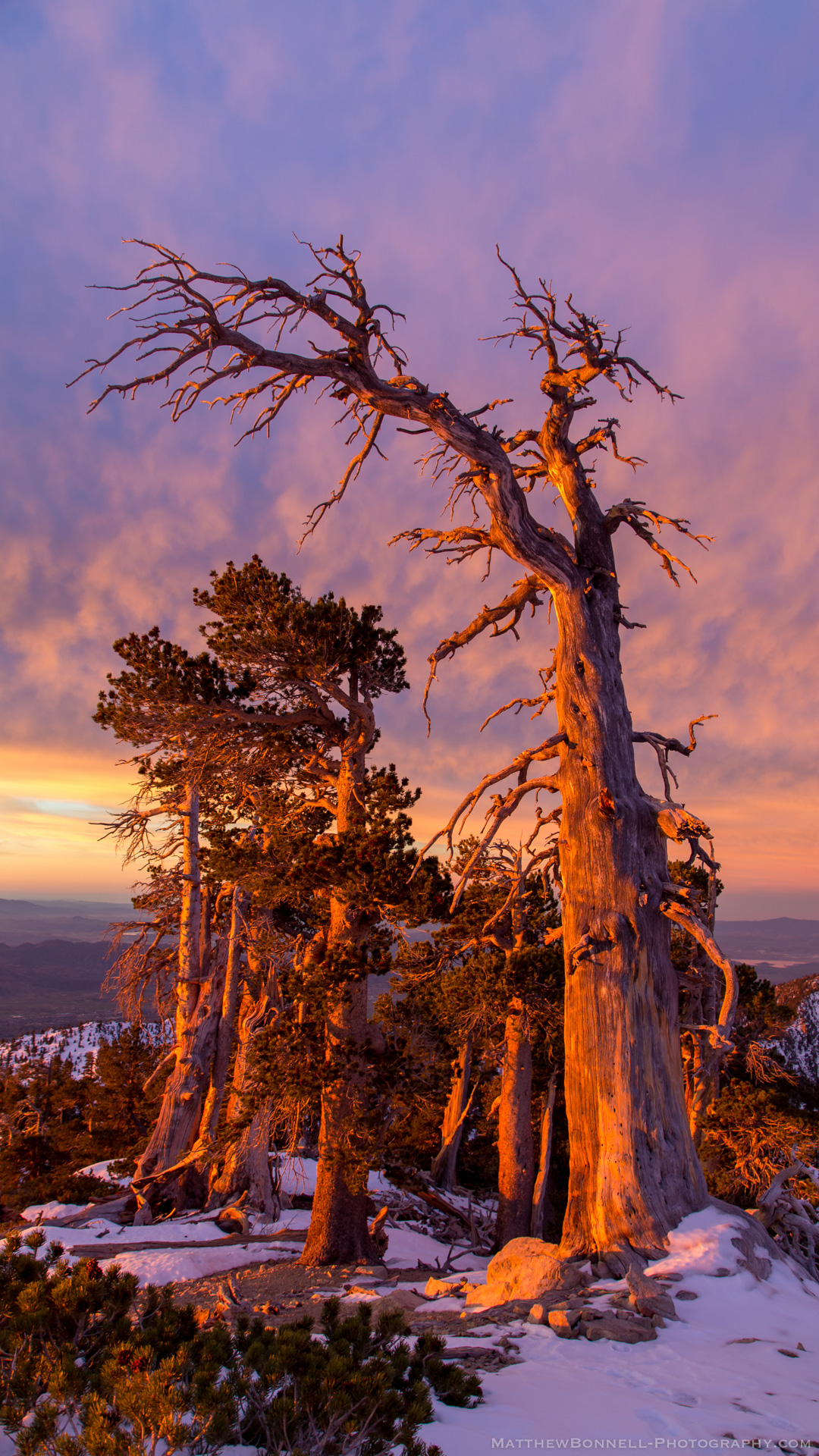 San Gorgonio Reach.jpg