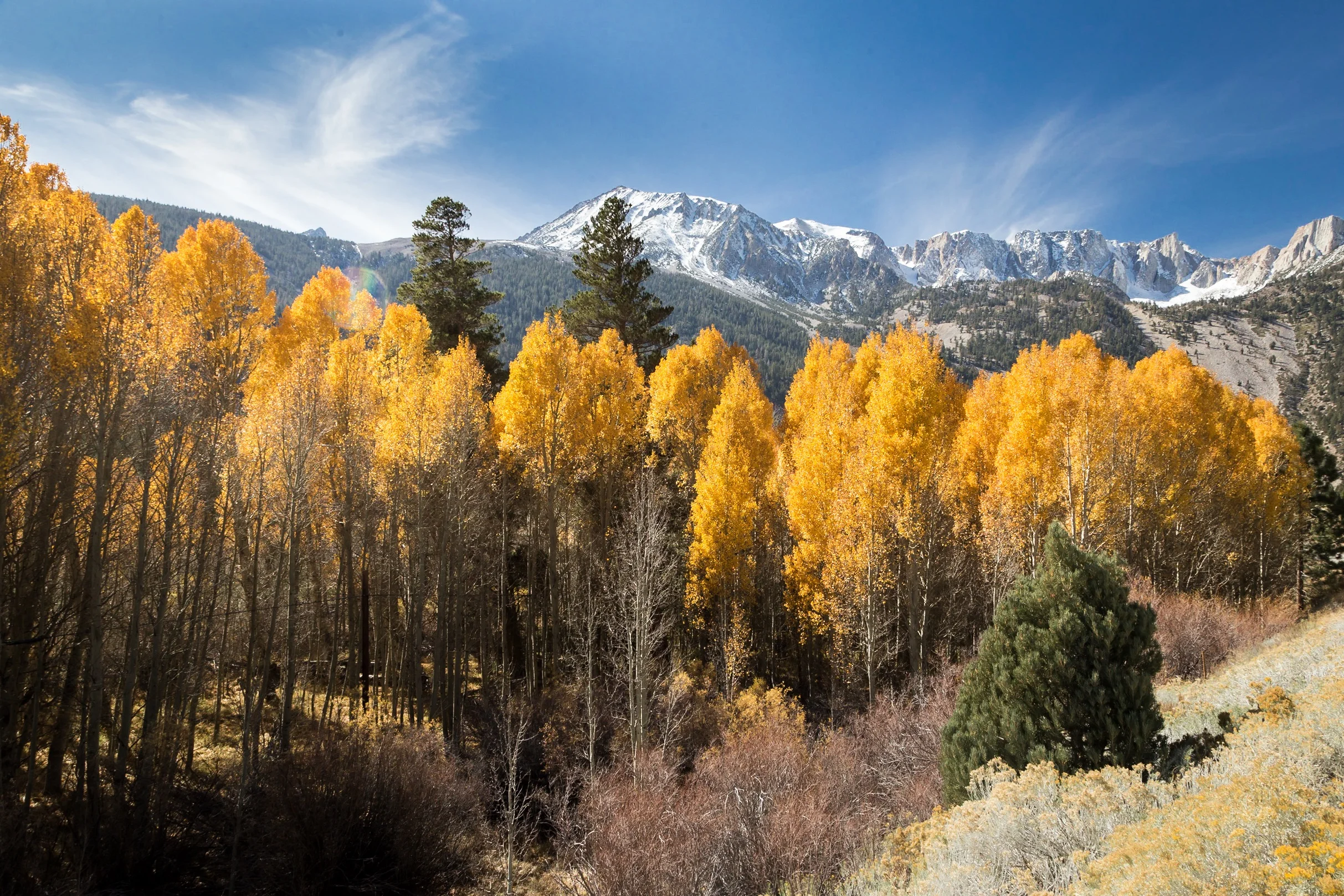 Yosemite Oct 2016 Aspens and Peaks.jpg