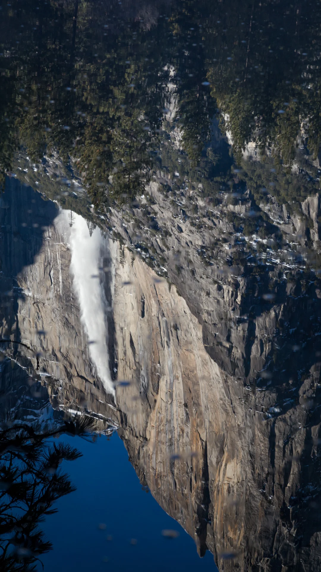 Yosemite Falls Reflection in Meadow.jpg