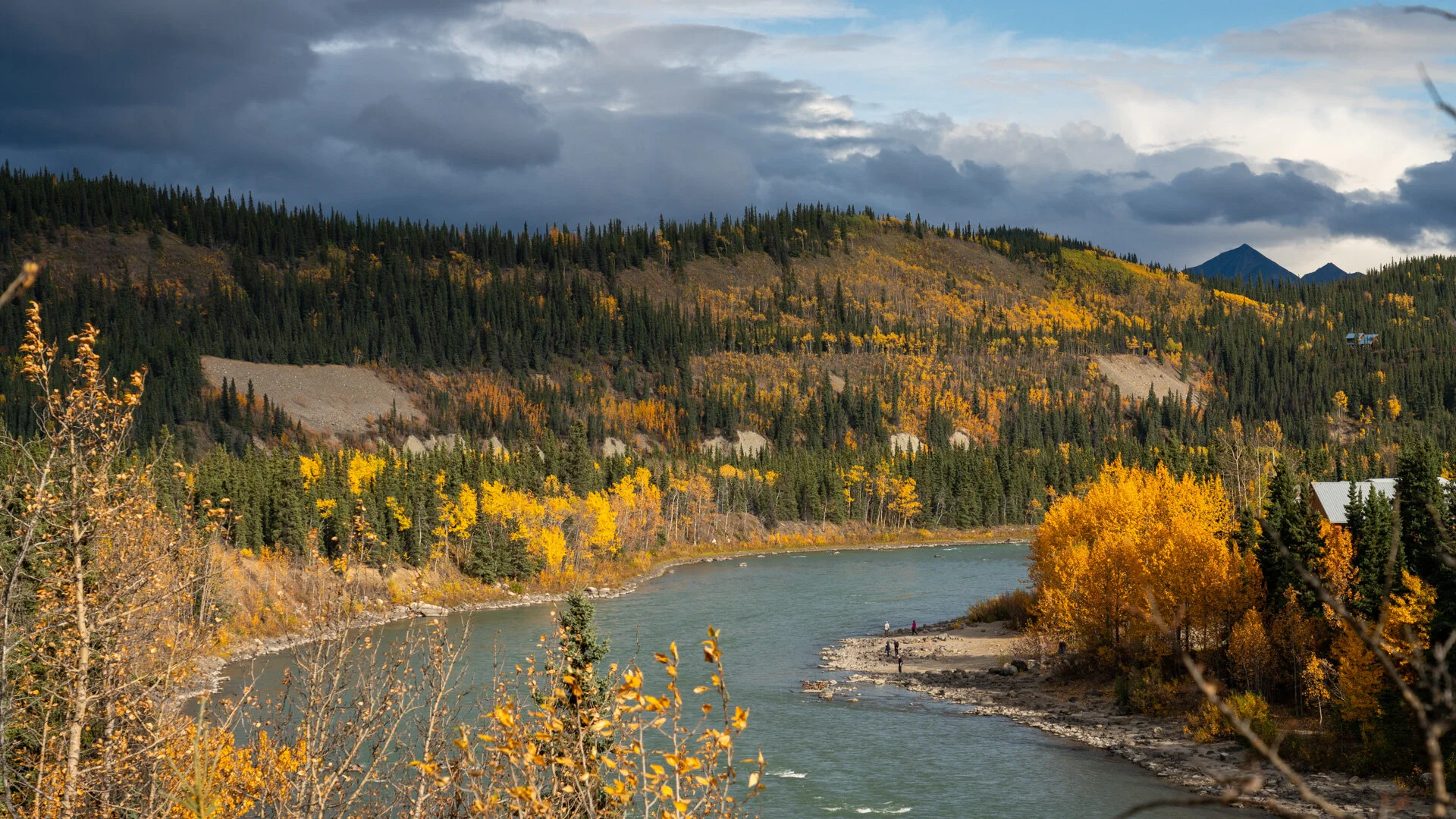 Alaska-2196.jpg