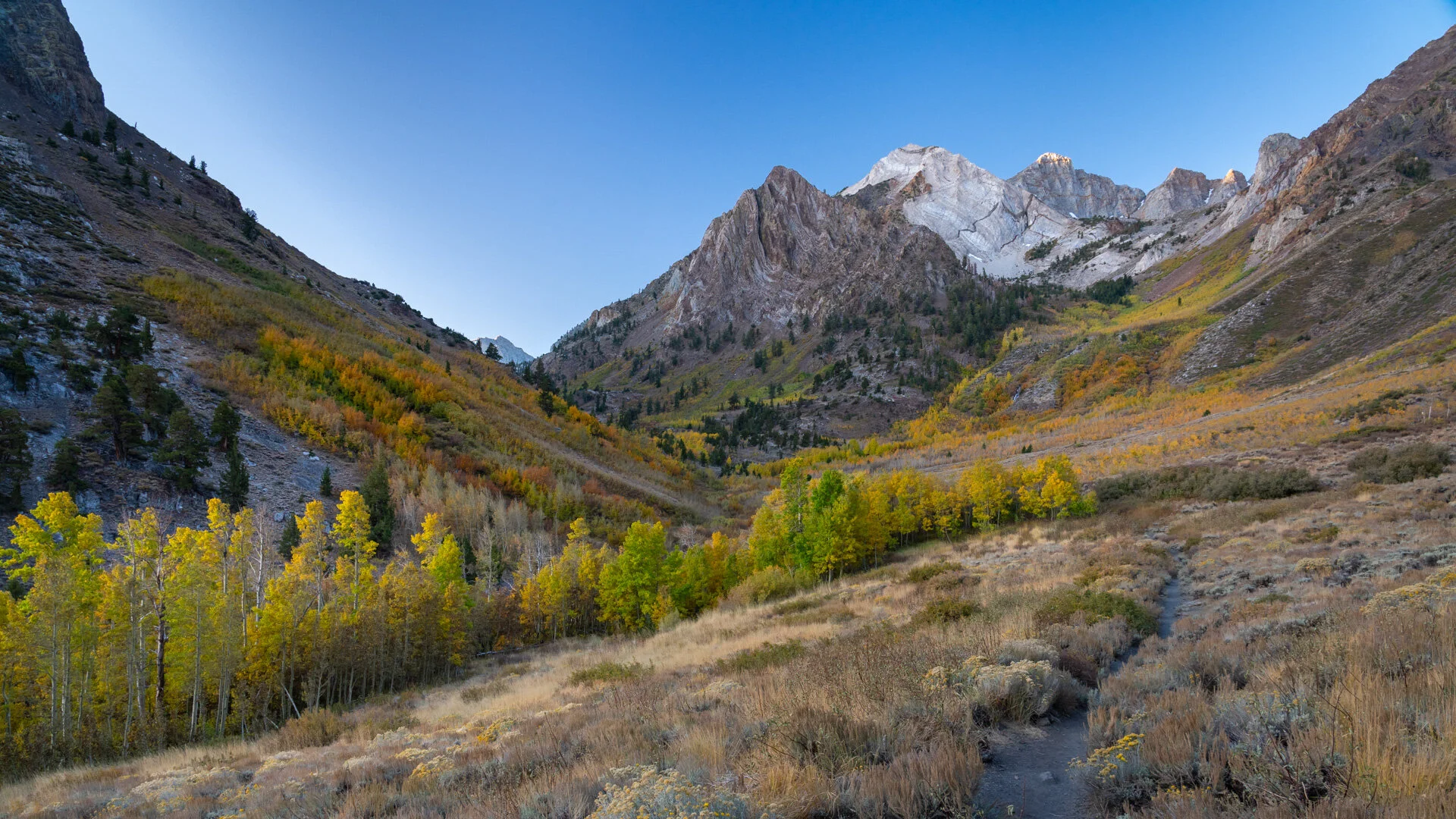 Fall Color2019-3953.jpg