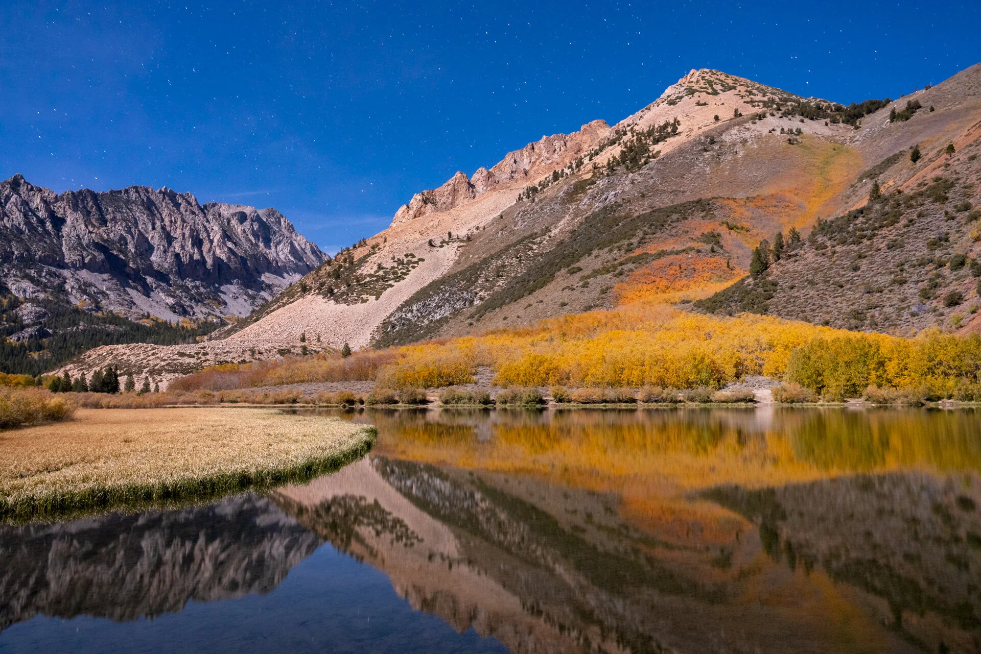 Fall Color2019-3366.jpg