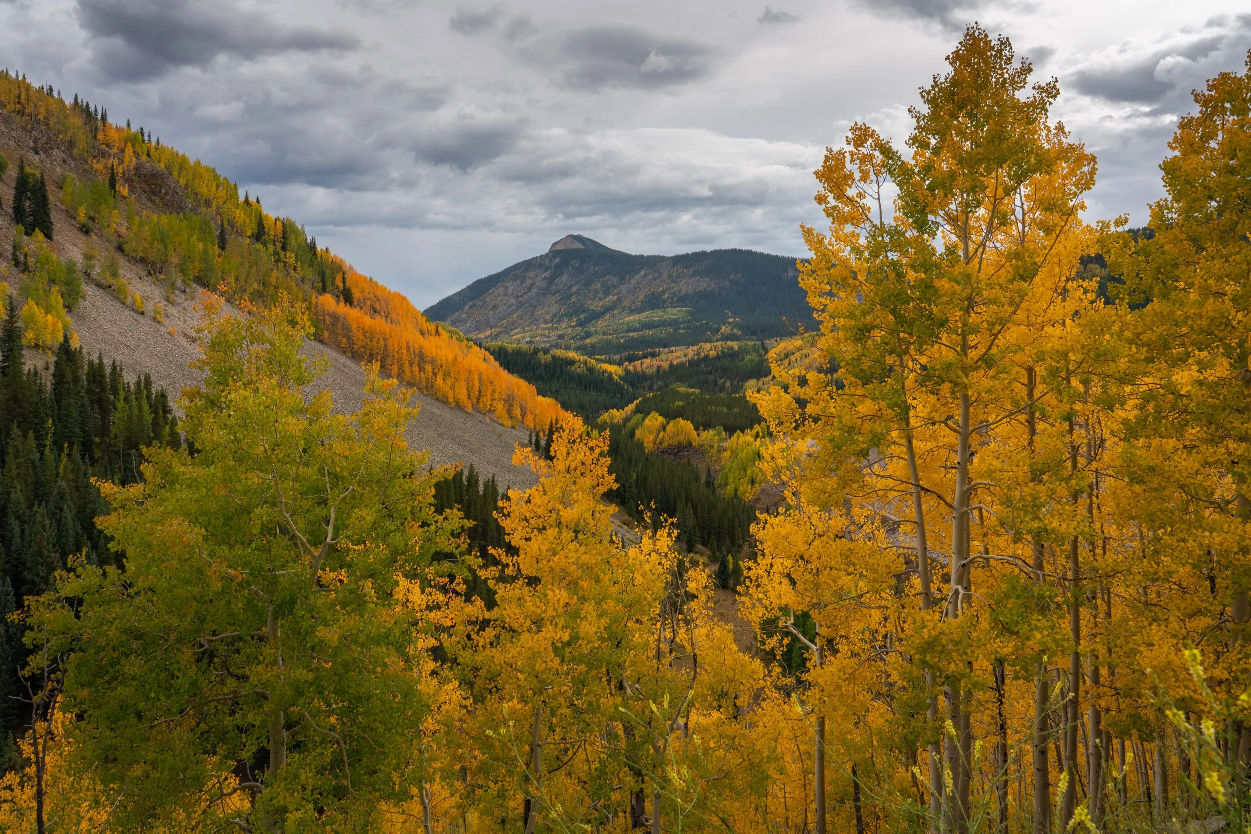 Golden Lookout