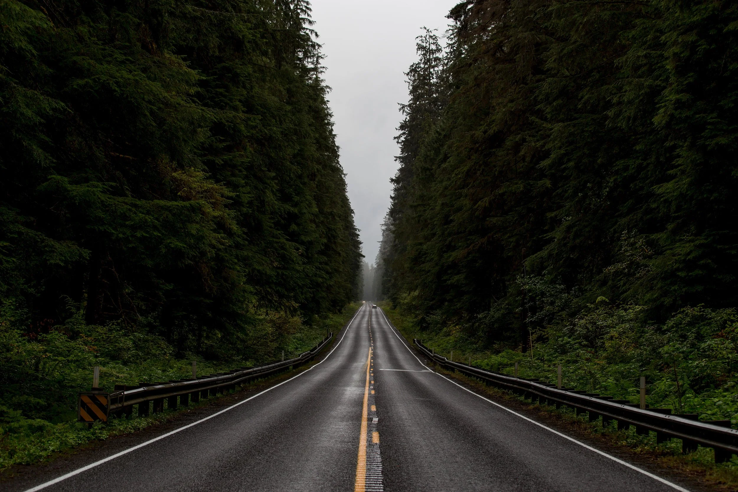 guardrails weakening copy.jpg