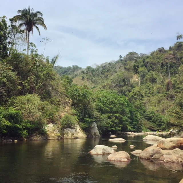 The Río Palomino, which flows from the Sierra Nevada de Santa Marta into the Caribbean Ocean