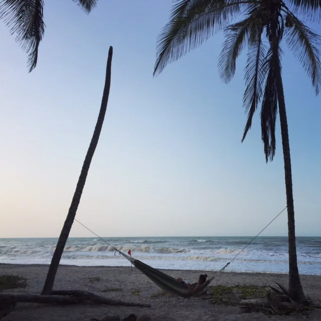 The Paradise of Palomino