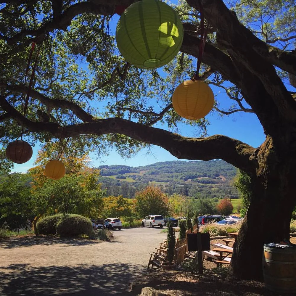 A Sonoma Saturday: The Perfect Day Trip Itinerary