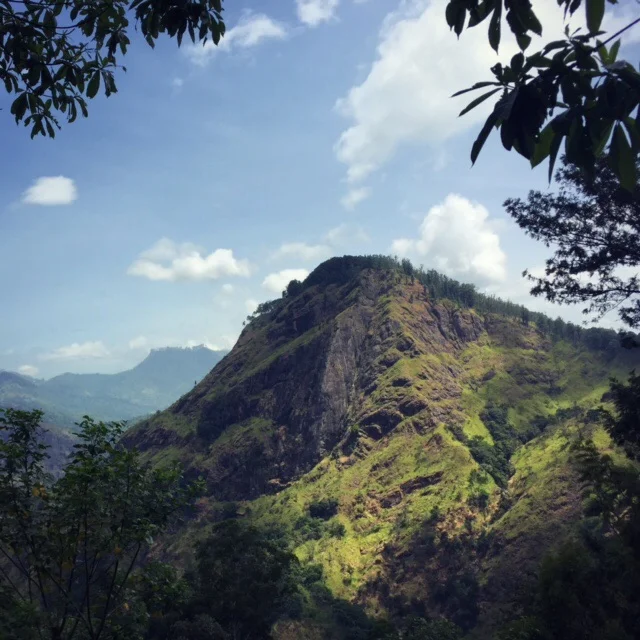 Ella and Elephants and Galle, Oh My!