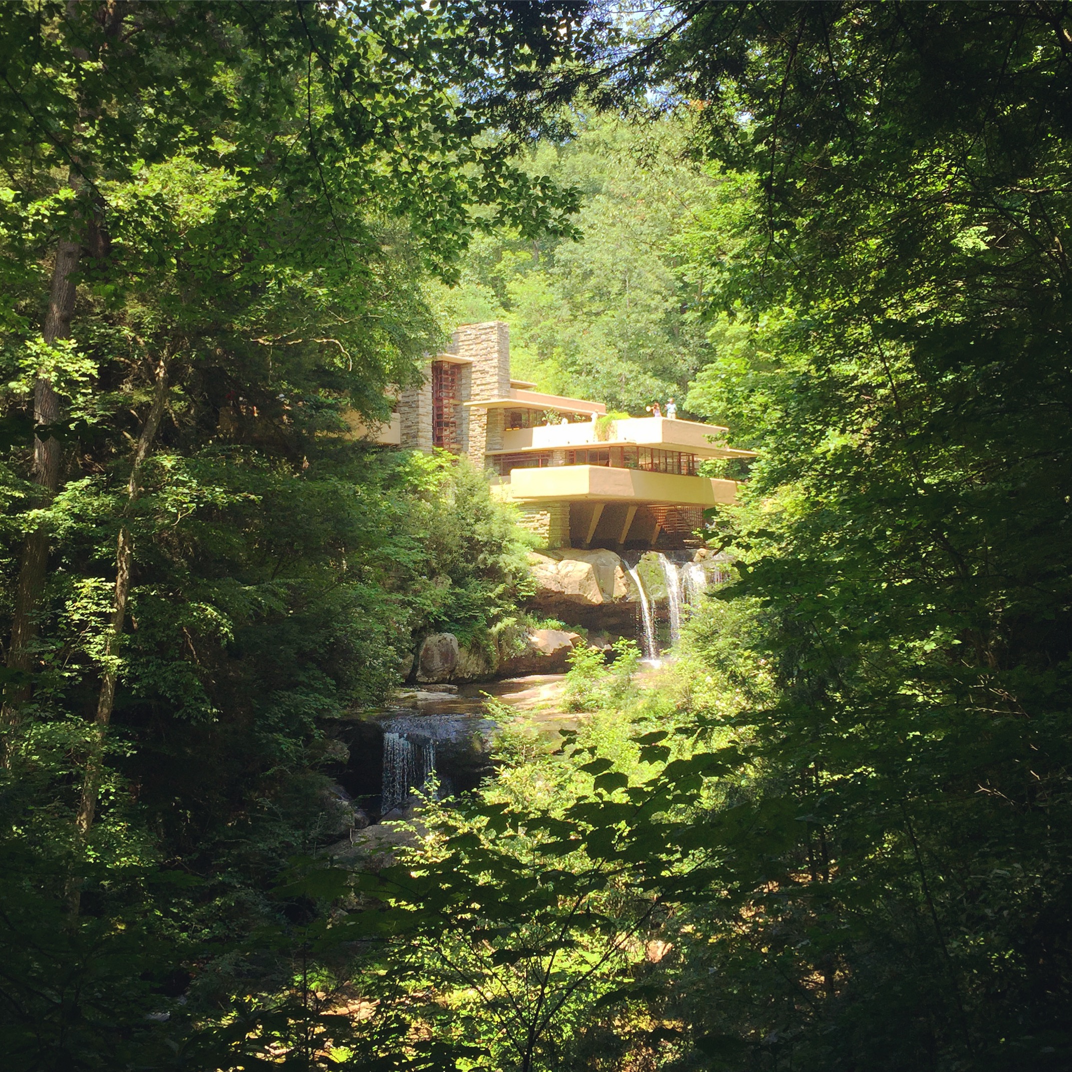 The aptly named Falling Water