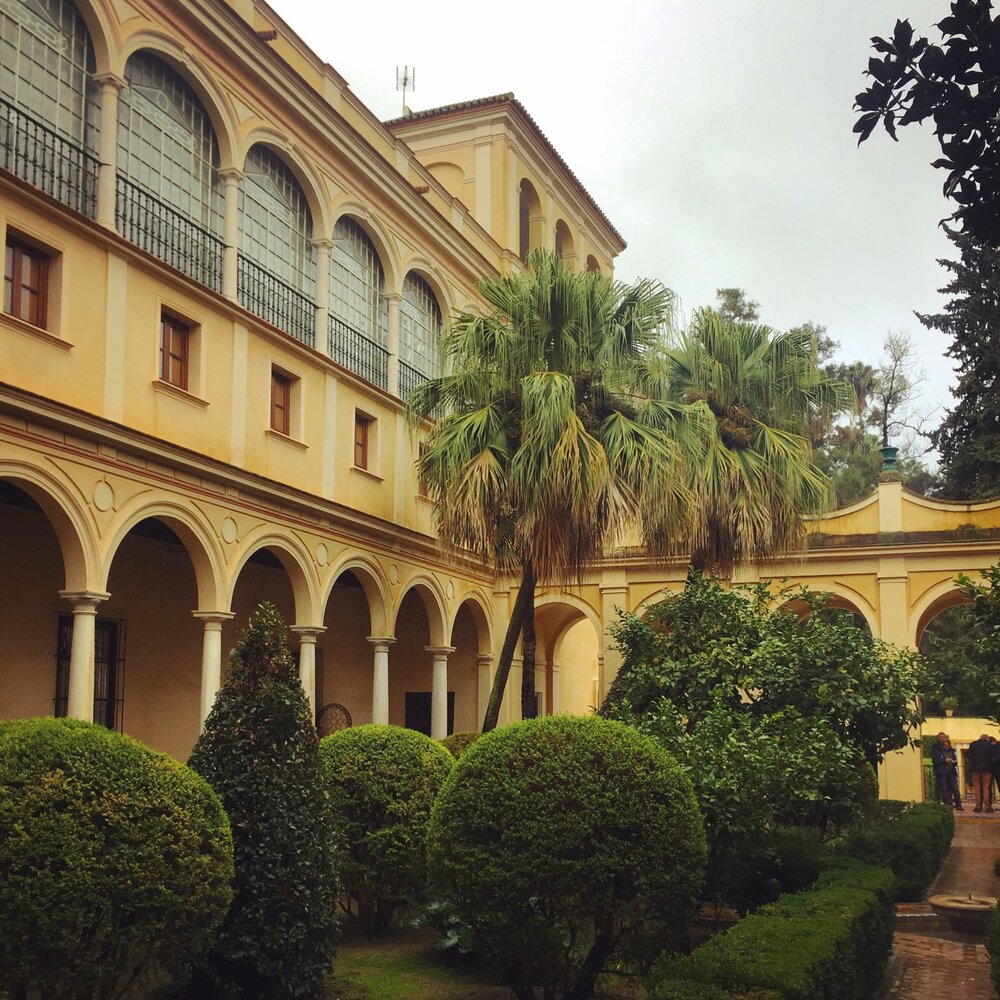 real_alcazar_seville_palmtree.JPG