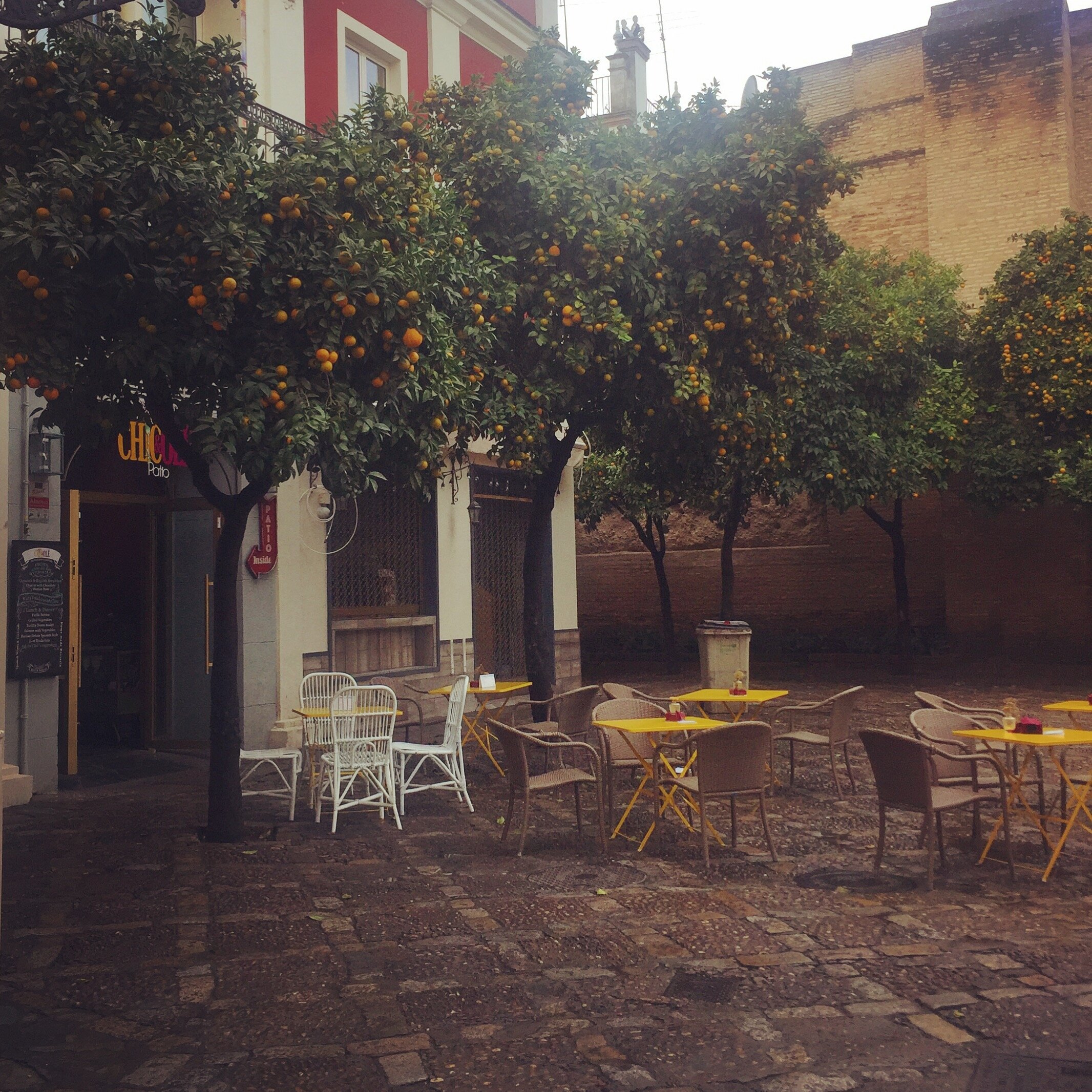 seville_courtyard_orange_trees.JPG