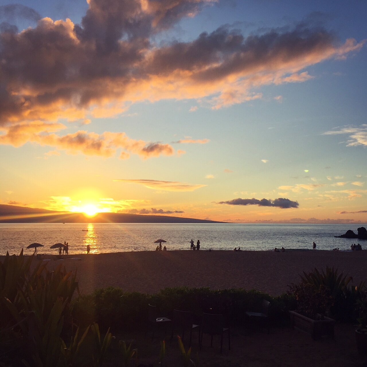 Travel Highlights of 2019!