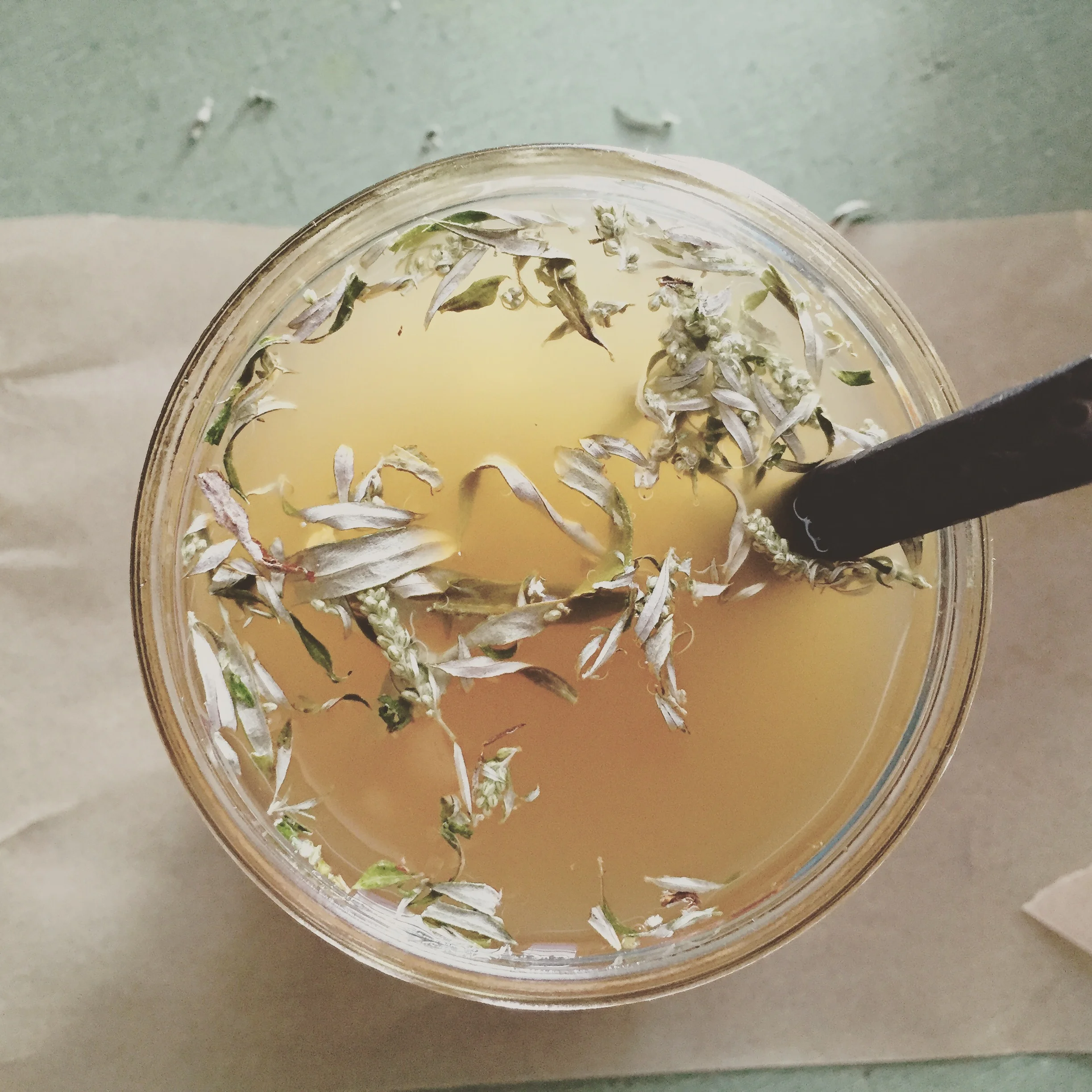 Waking Up To Spring With Herbs 