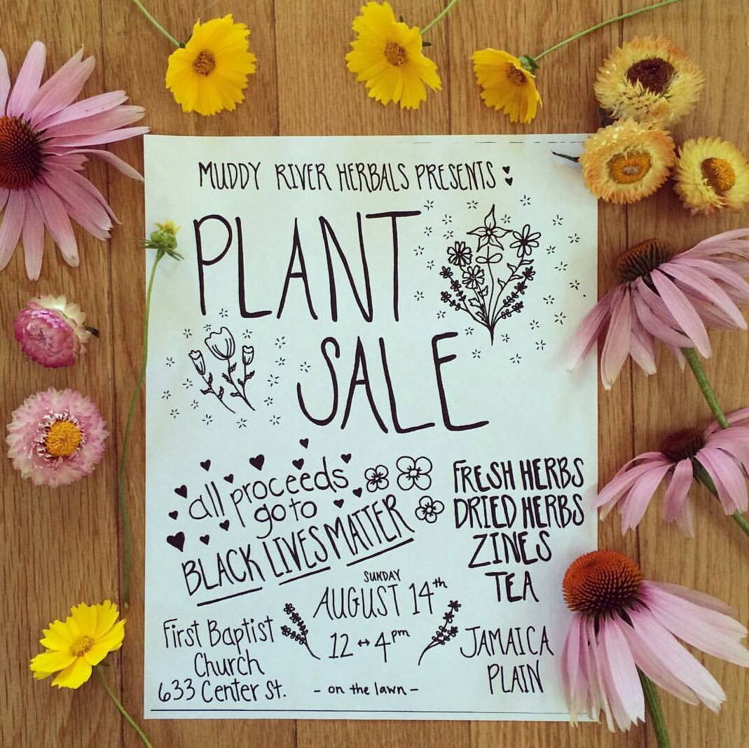 plant sale for black lives matter