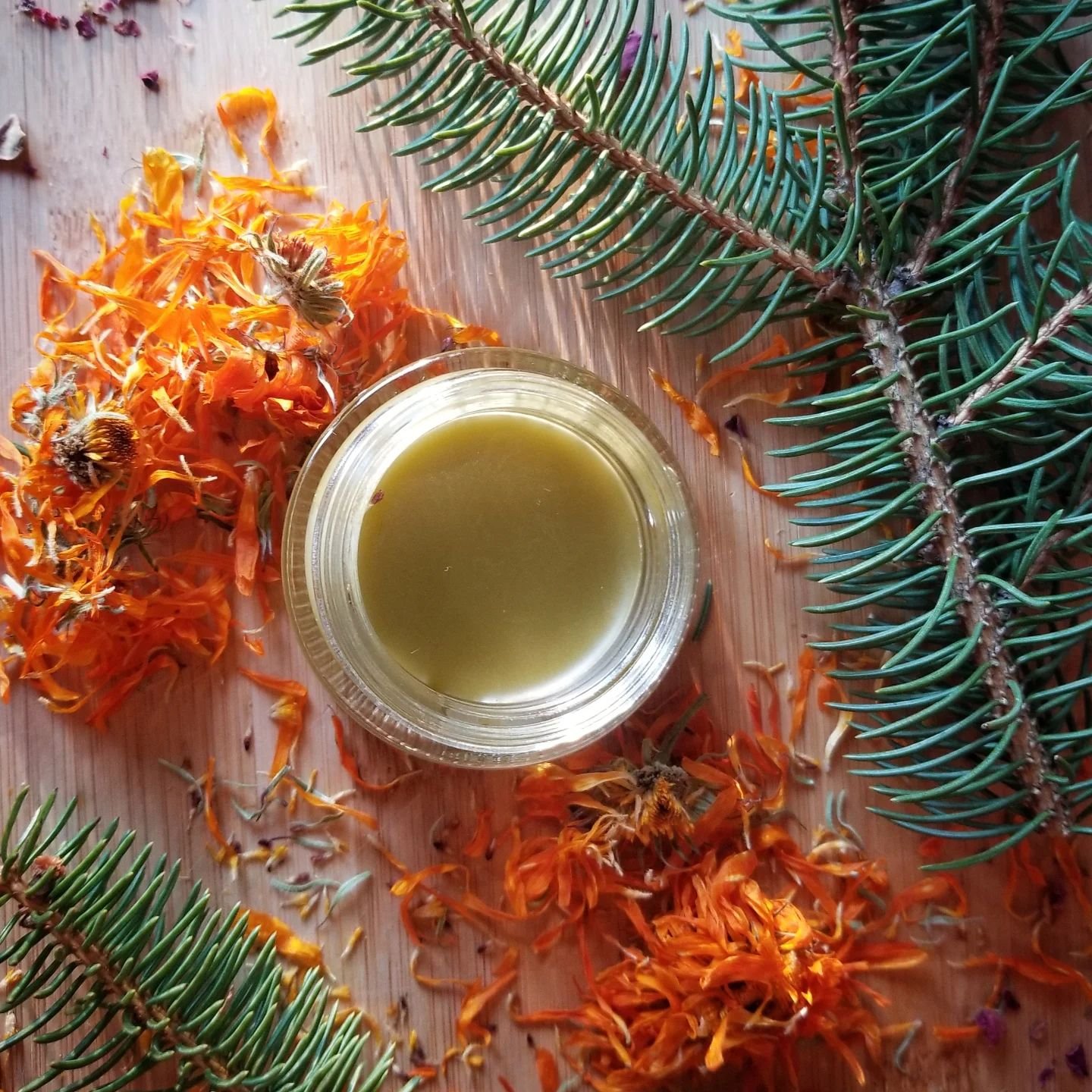 The @herbstalk holiday market is just a few days away, and that means that the 2024 batch of our beloved Wintergreen Wonder Salve is here! It features Maine Balsam wildcrafted by our dear friend @gathering.baskets, Saint John's Wort, and the true mag