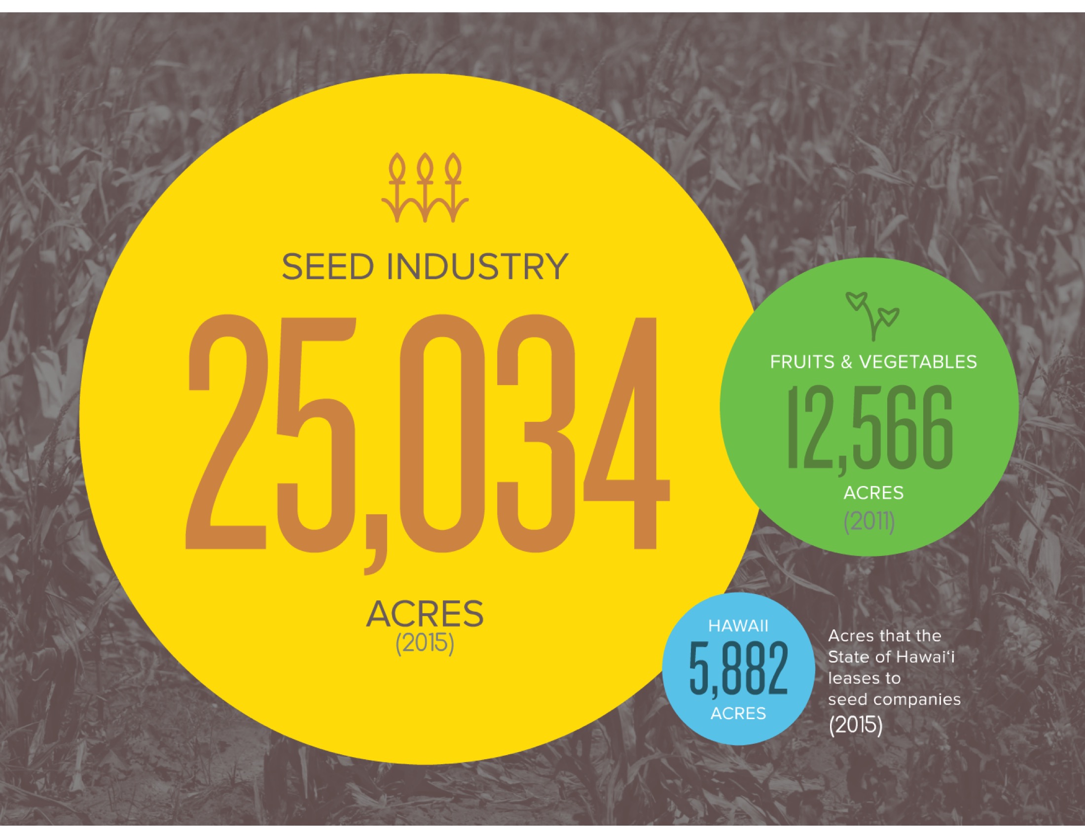  The seed industry’s footprint (24,700 acres) is 72% of the total area planted to crops other than sugarcane or pineapple (34,400 acres).