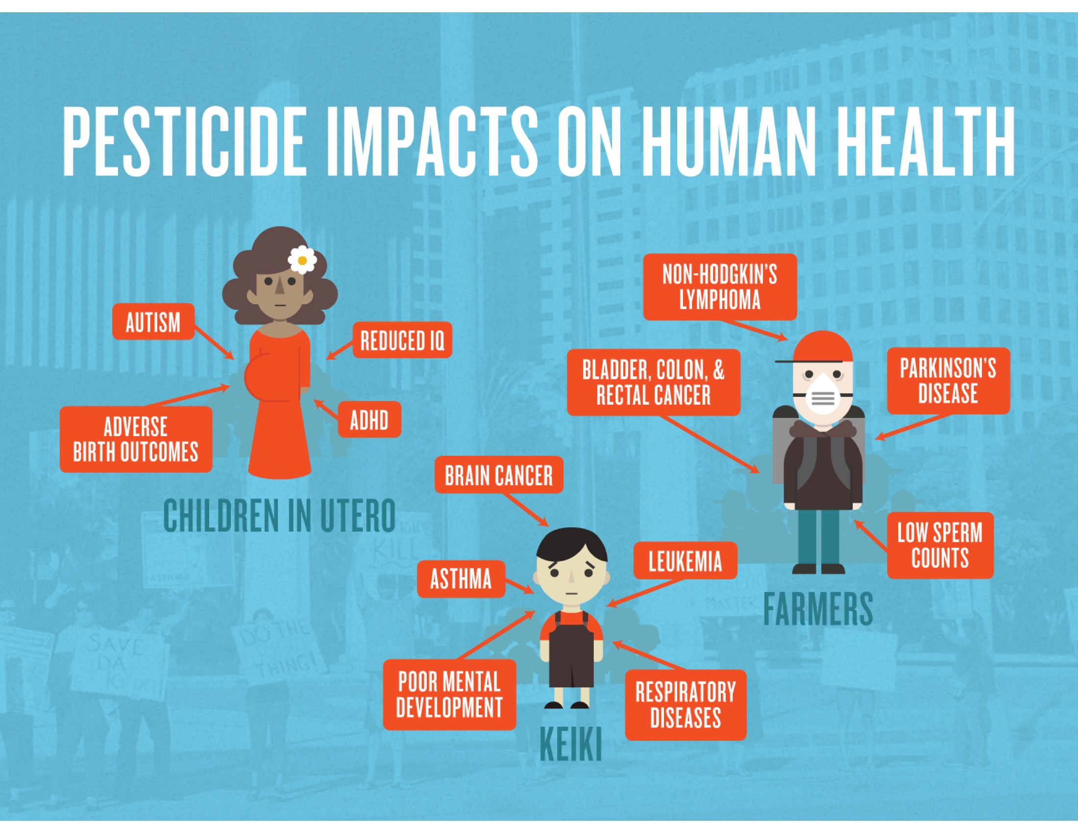 In general farmers, farmworkers, pregnant women, and children are at greatest risk: farmers are more highly exposed than the general population; and children are more susceptible to the harmful effects of pesticides than adults.