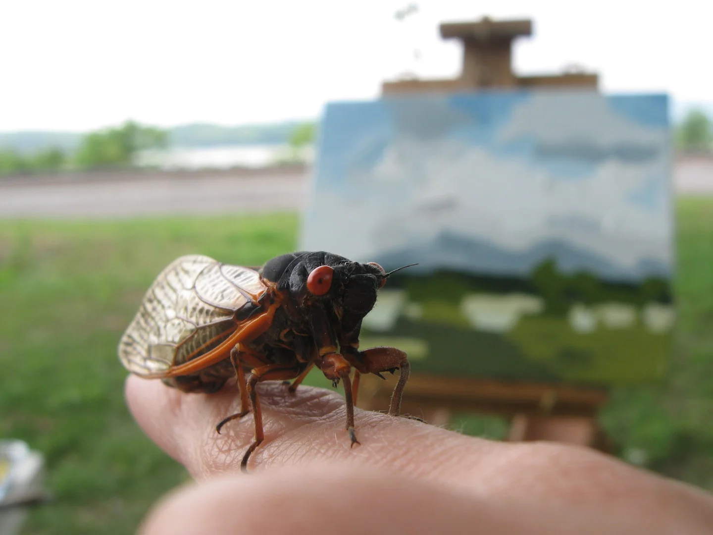 painting companion in tivoli.jpg