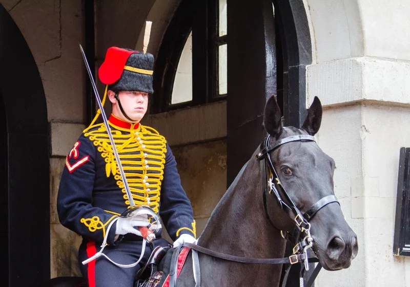 See the discomfort??? But that horse makes quite good eye contact.