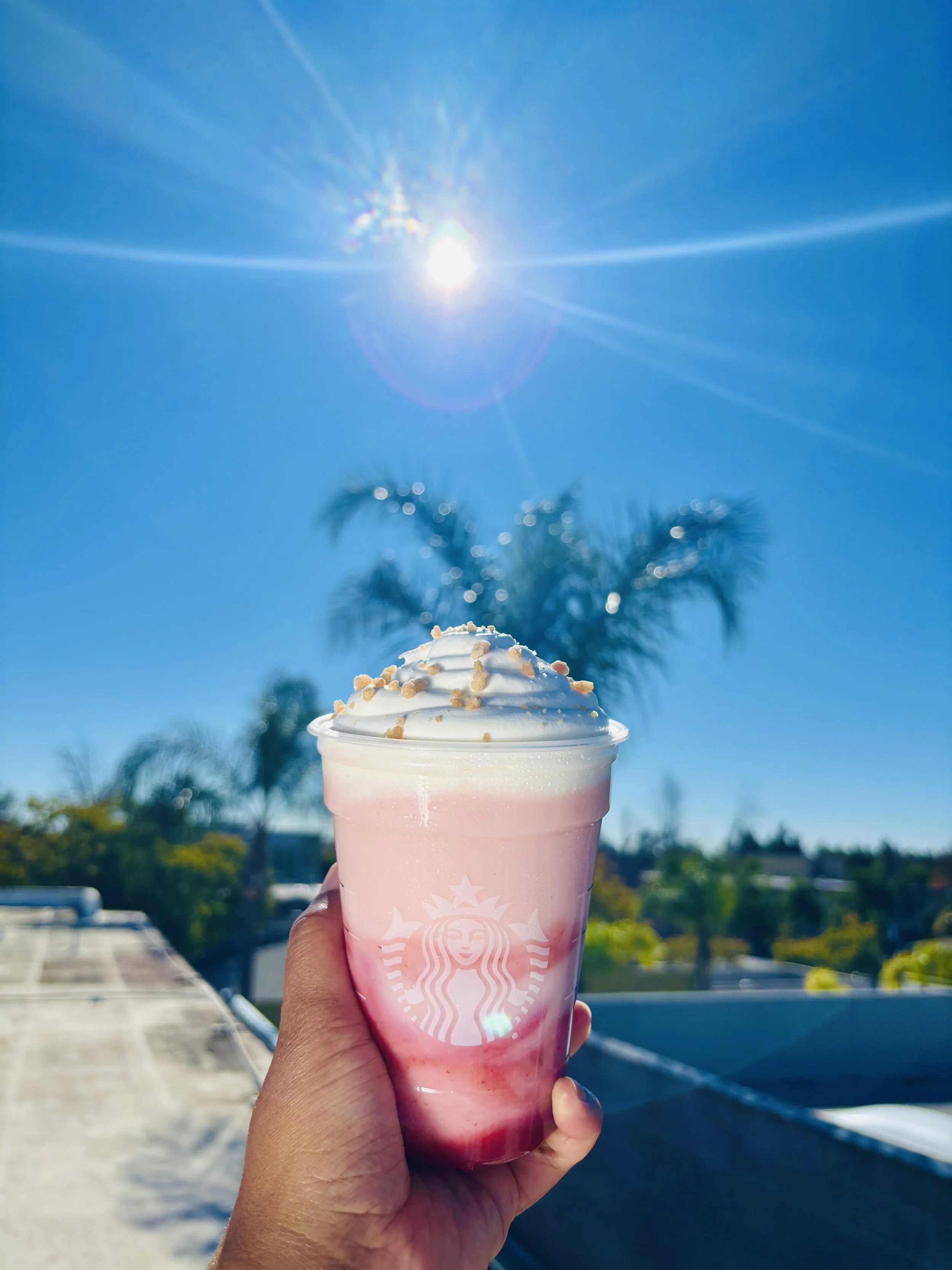 Danielle campbell drink stylist 