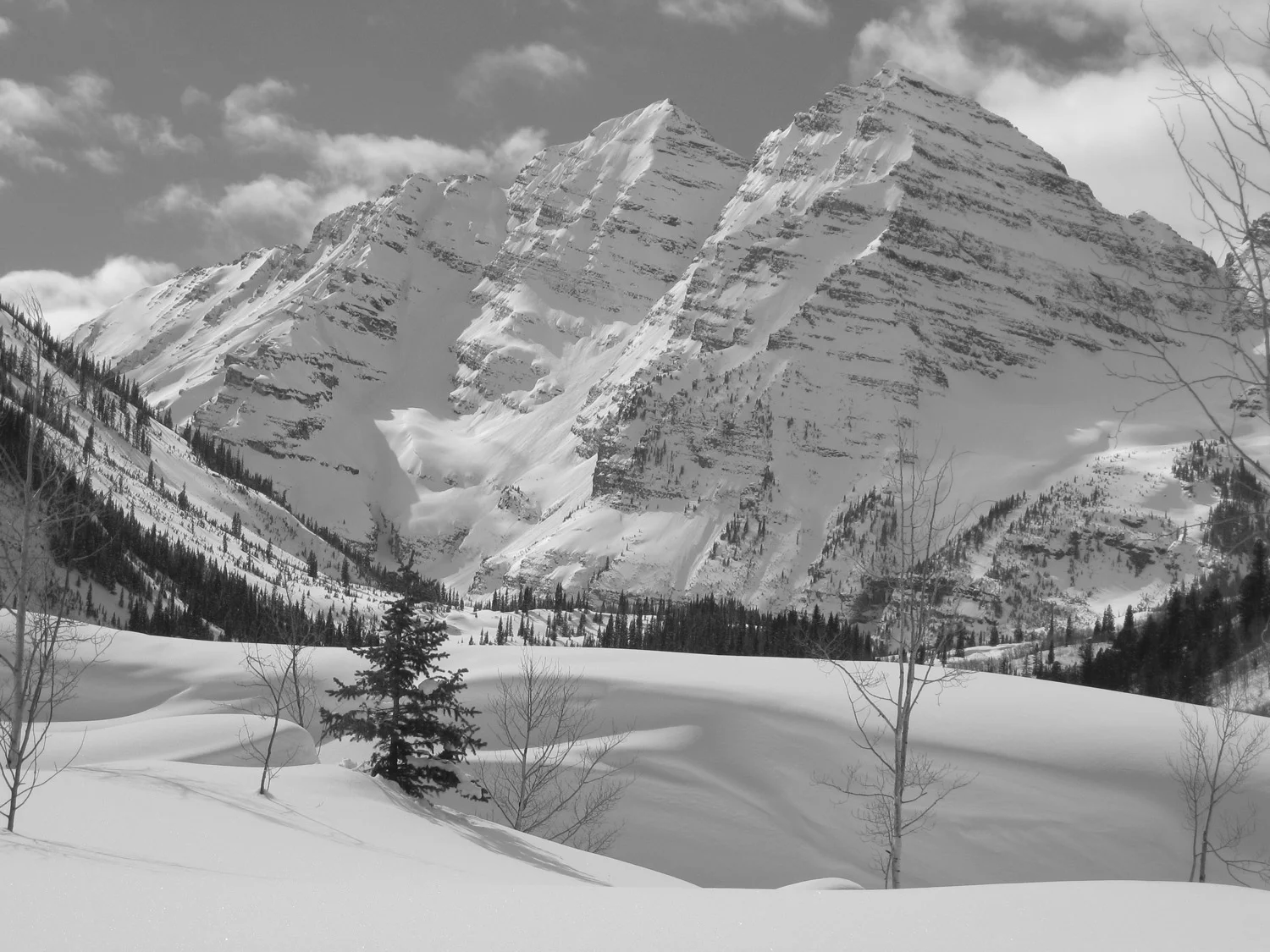 "Snowy Bells"