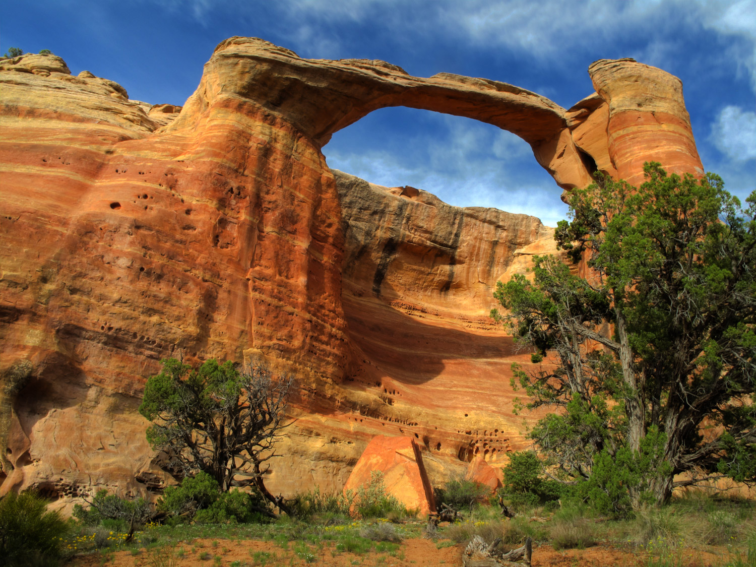 McInnis Canyons - "Centennial Arch"