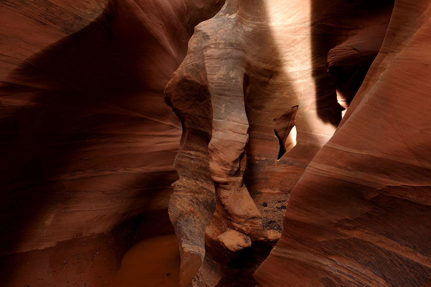 "Peek-a-boo Arch"