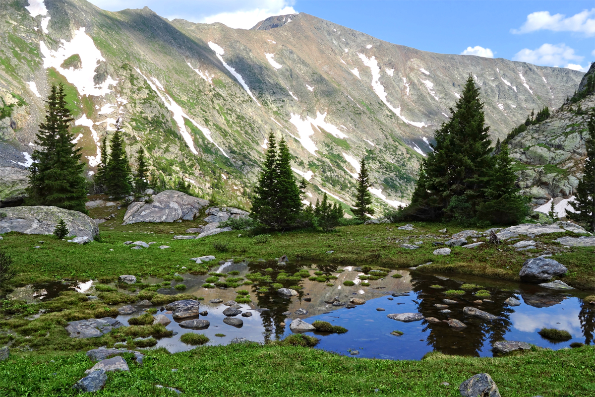 "Savage Wilderness"