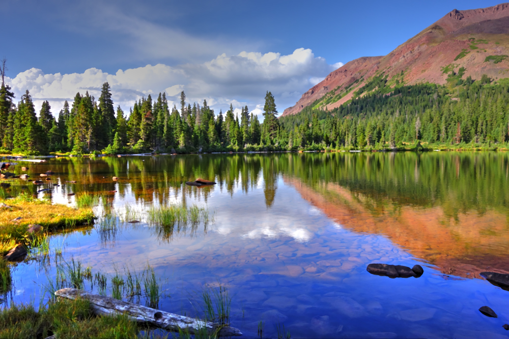 "Tranquility"