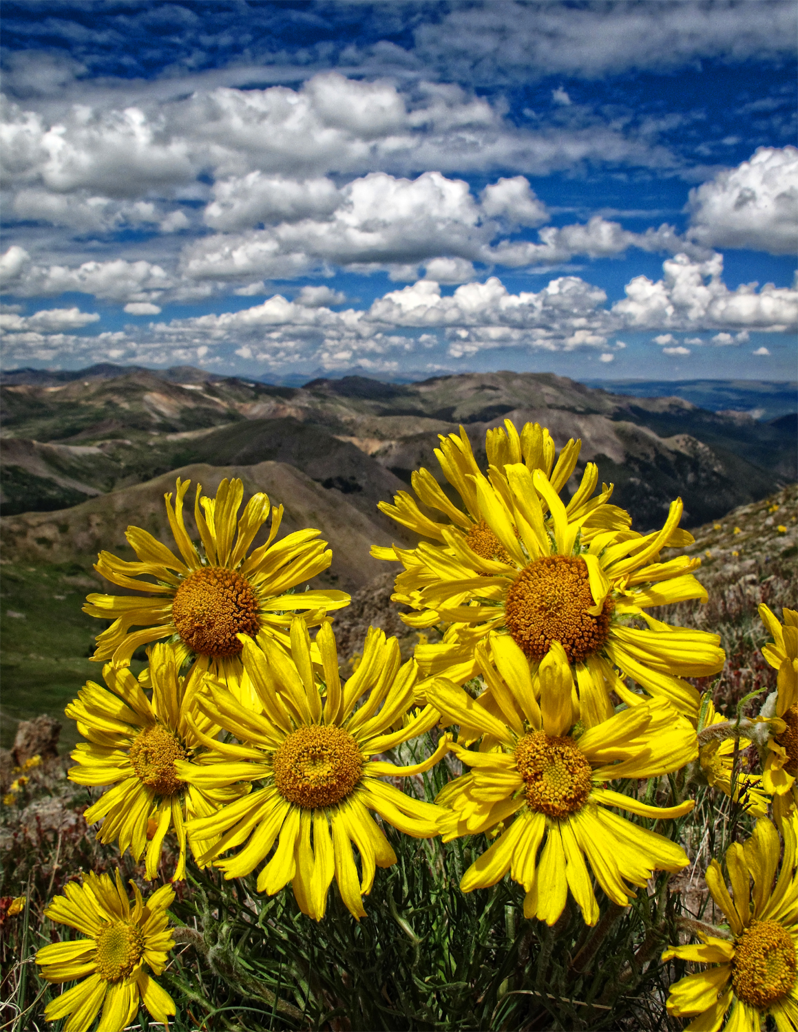 "Old Man of the Mountain"