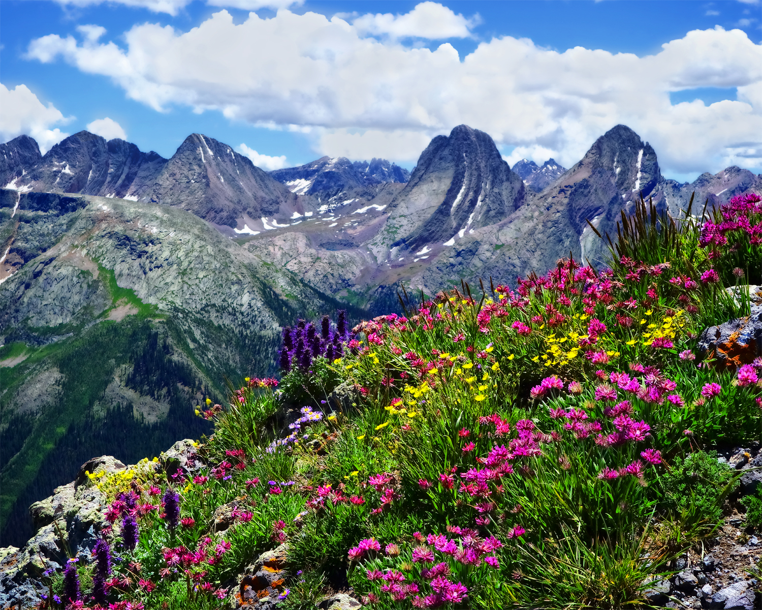 "A Flowering Spectacle"