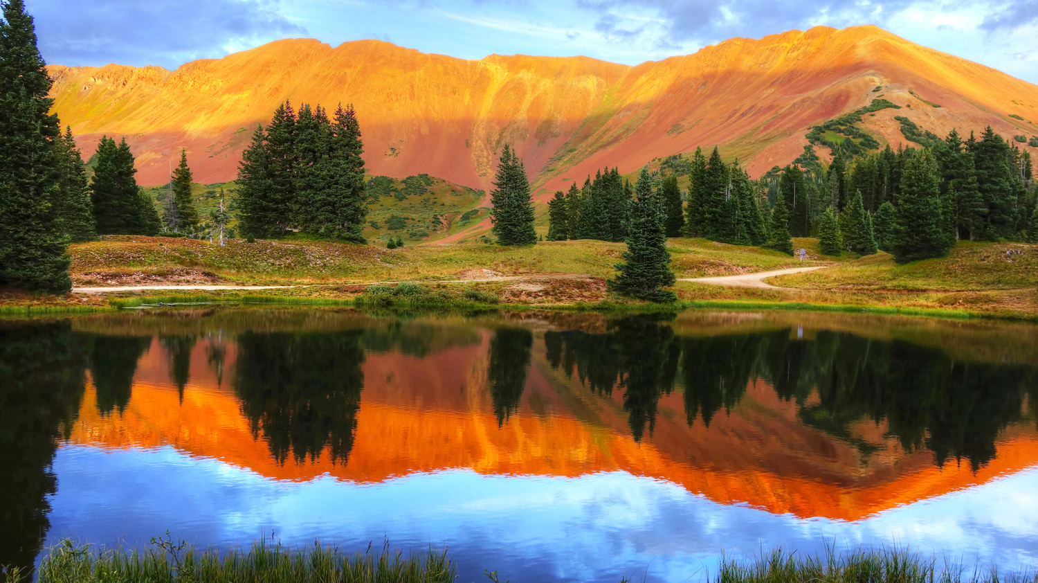 "A Baldy Reflection"