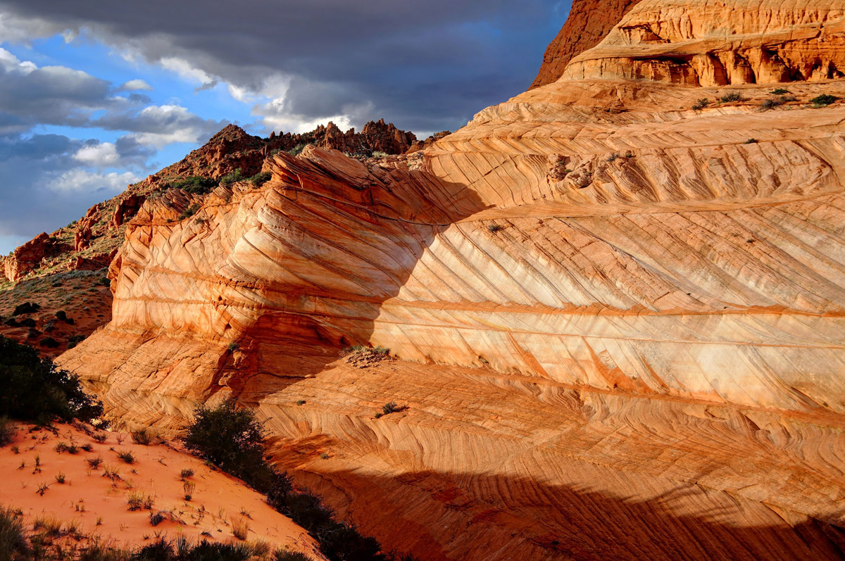 Coyote Buttes Evening Glory