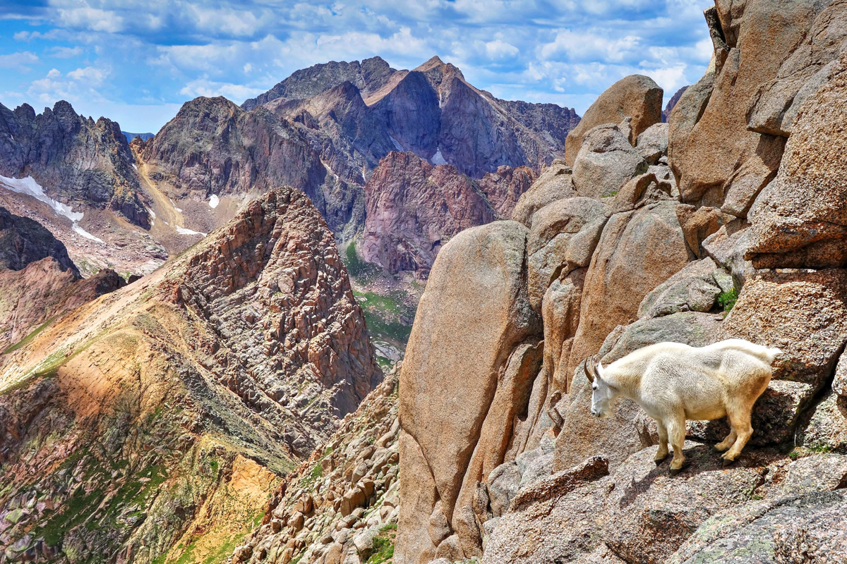 Mountain Guide