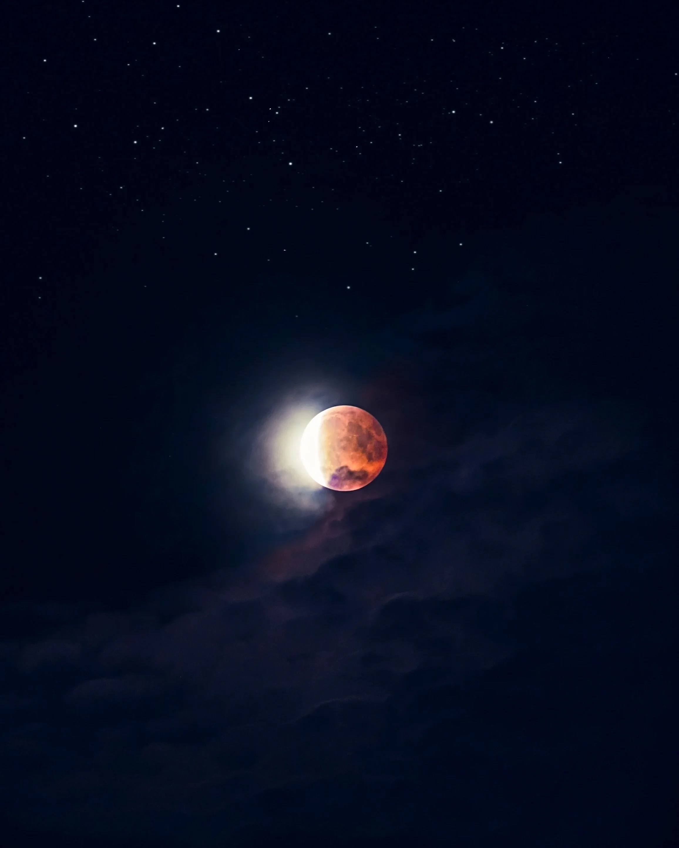 Photo by Benjamin Voros on Unsplash