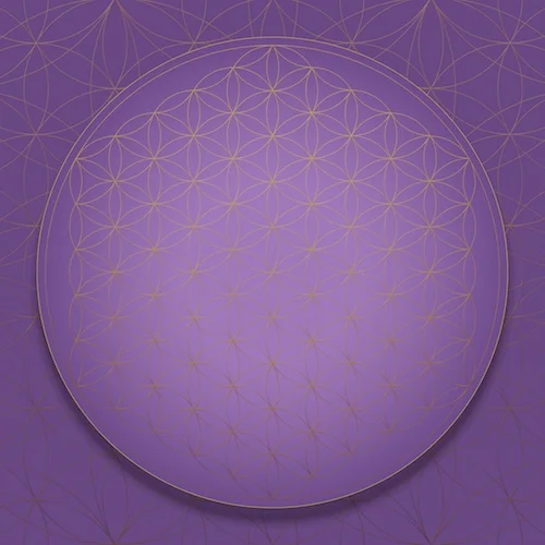 SOL-LIGHT Flower of Life Crown Chakra Sacred Geometry Art #theSOLspace SOL-Art © All Rights Reserved.jpg