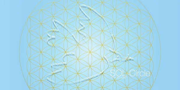 SOLCircle thesolspace.jpeg
