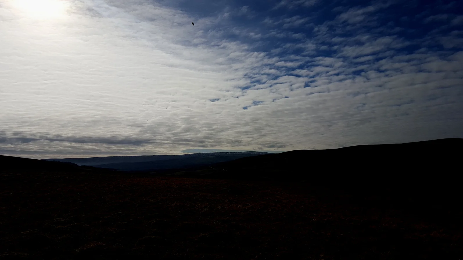 20160313_101028.jpg