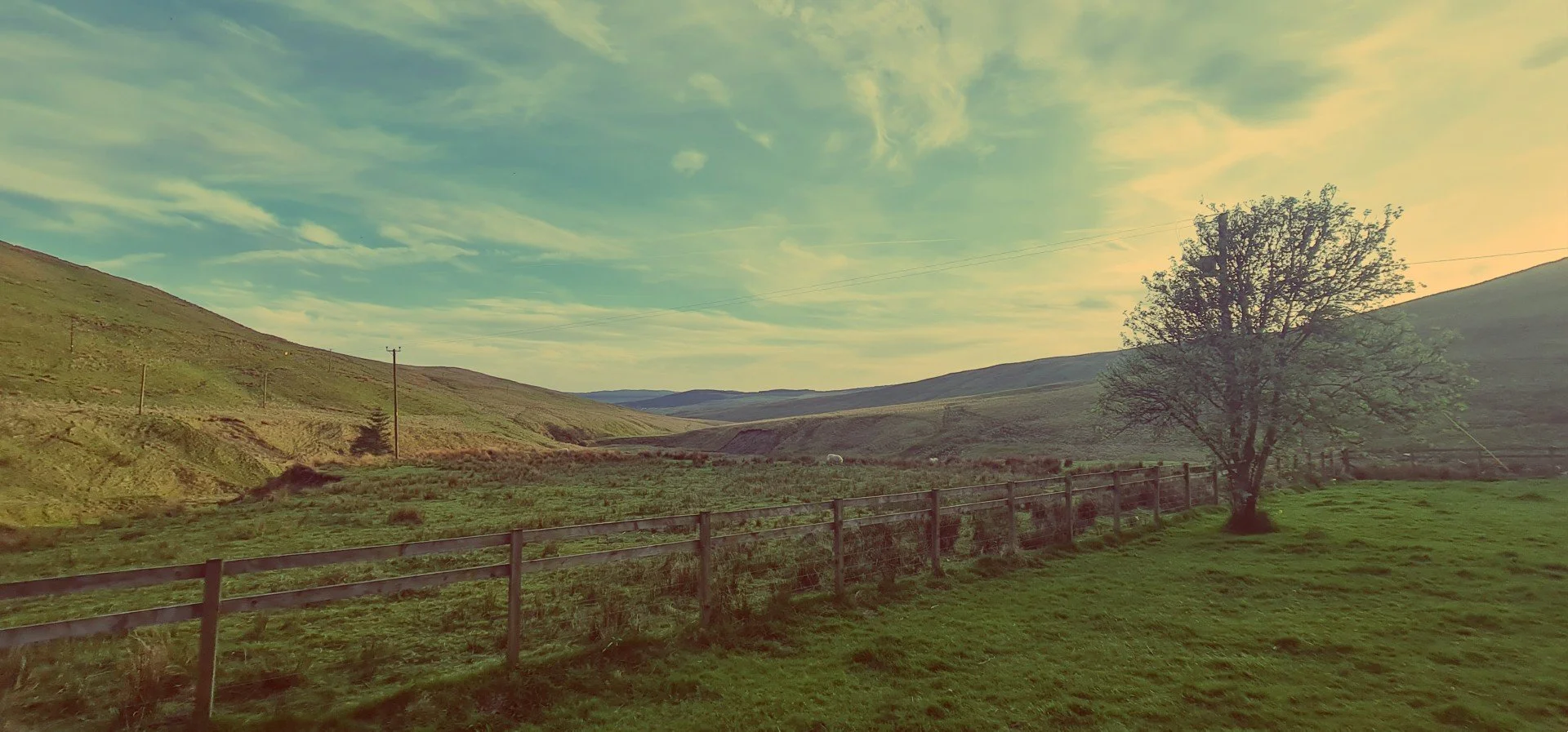 the view.jpg