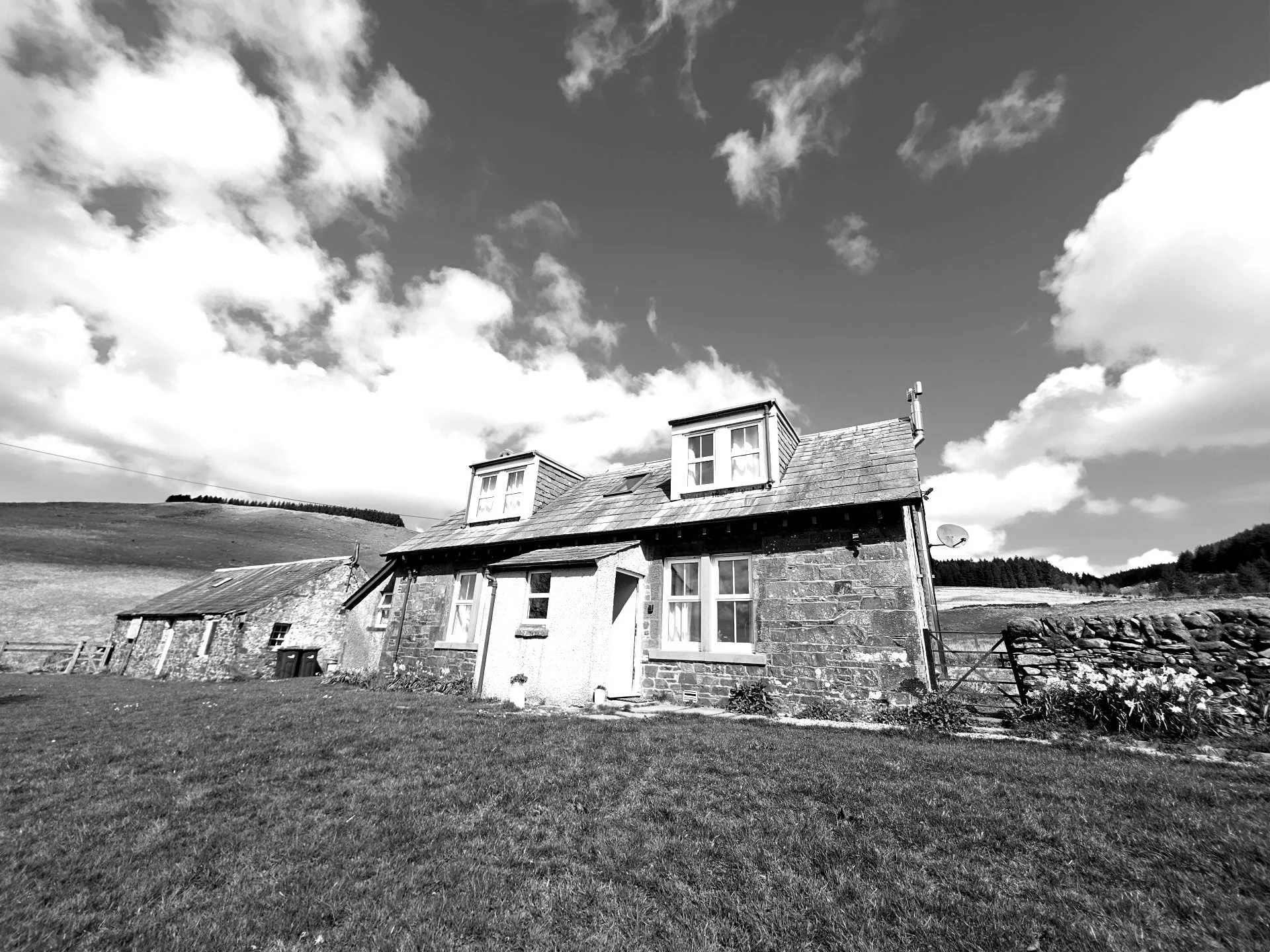 the house.jpg
