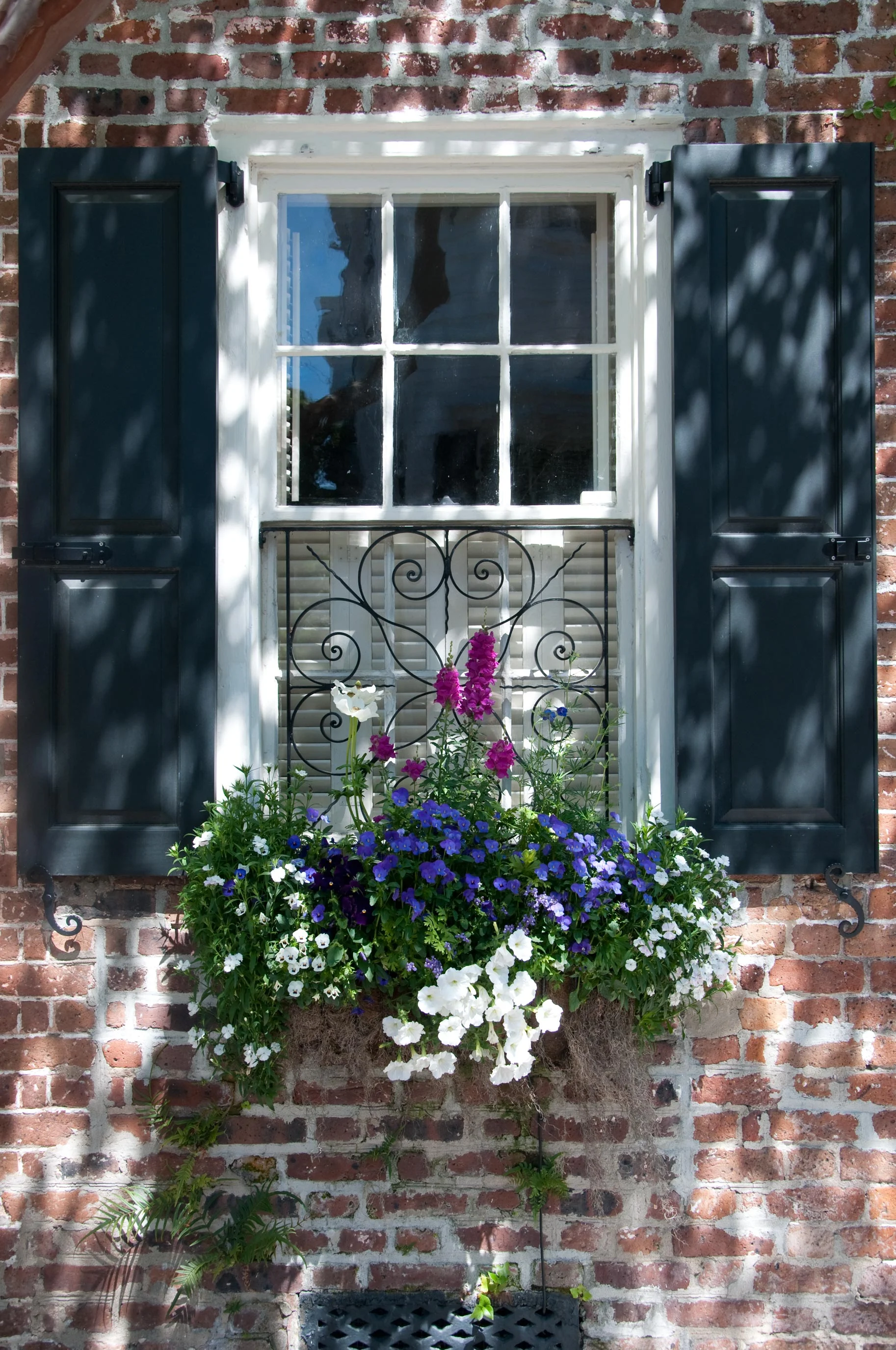 grey wooden shutters Winchester Hampshire