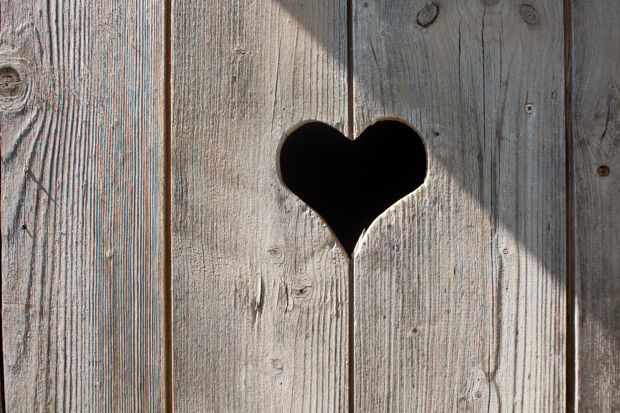 bigstock-heart-80812340.jpg