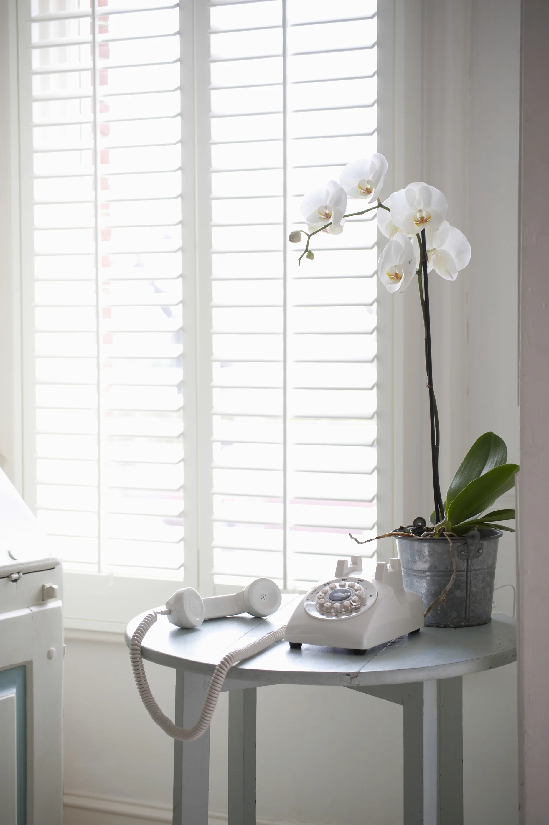 Interior wooden shutters Weymouth Dorset