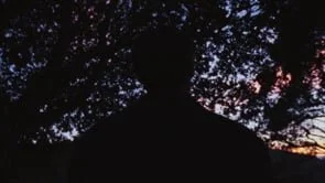 Farewell Fire Trailer